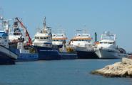 Les tonyineres tornen a casa pescant la quota amb un temps rècord